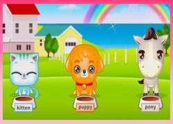 Jeu My Cute pets